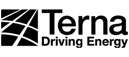 Terna Driving Energy logo